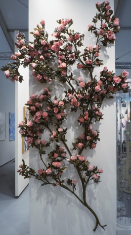 CARLTON SCOTT STURGILL