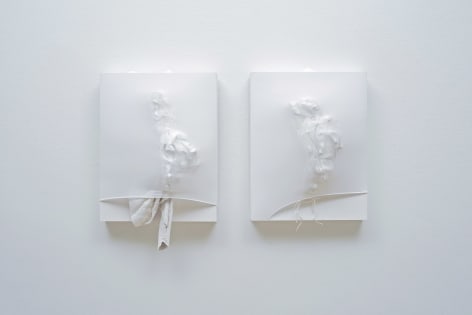 SIDONIE VILLERE January&nbsp;[diptych], 2015