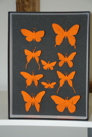 PAUL VILLINSKI Memo (pictured in Cadmium orange finish)