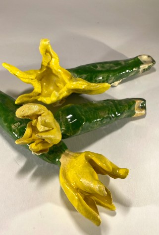 JENNY DAY, Squash, 2025