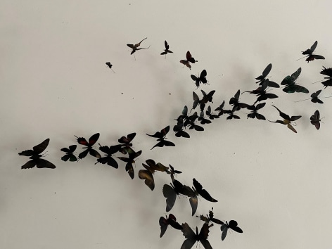 PAUL VILLINSKI, Fleur-de-lis, 2021