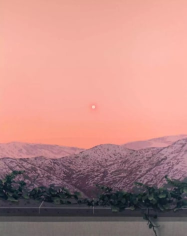 ROBERT MINERVINI, Landscape with Vines, 2023