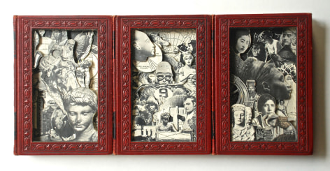 TONY DAGRADI, The Wild Ones (triptych), 2016