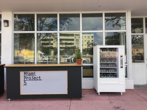 MIAMI PROJECT 5, exterior | Installation View