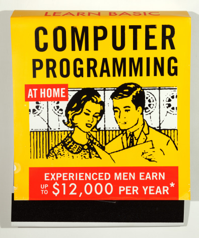 SKYLAR FEIN, Learn Basic Computer Programming, 2014