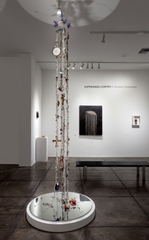 ESPERANZA CORT&Eacute;S&nbsp;, Arrested Symphony