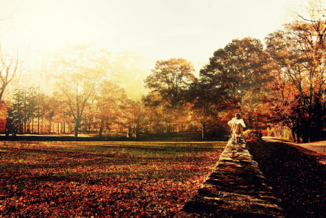 ROSEMARY SCOTT-FISHBURN The Dream Became Solid&nbsp;[image view], 2015