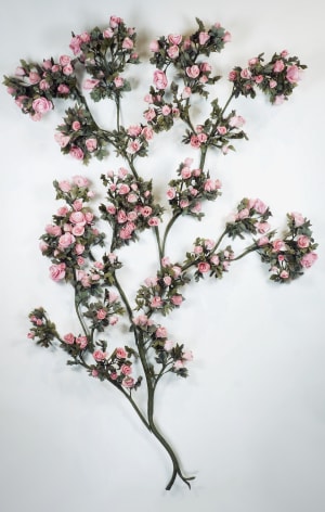 CARLTON SCOTT STURGILL