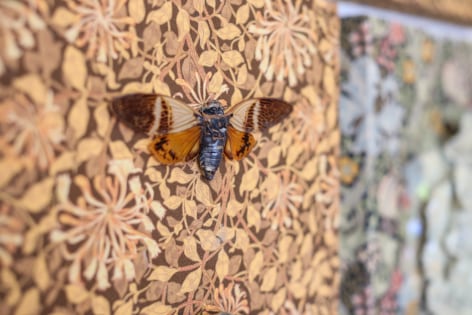 PEYTON PICKENPAUGH, Portals, 2023