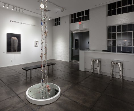 ESPERANZA CORT&Eacute;S&nbsp;, Arrested Symphony