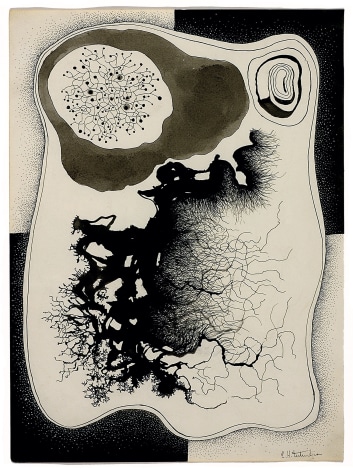 Composition placentaire, 1925