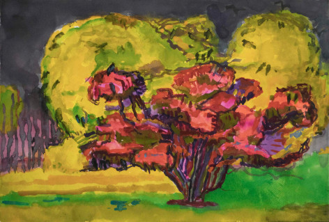 Red Tree in Front of Yellow, 2020, Watercolor on paper