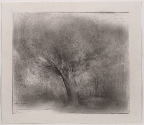 UNTITLED, 2007, Pencil on paper