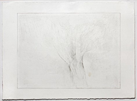 UNTITLED, 2007, Graphite on paper