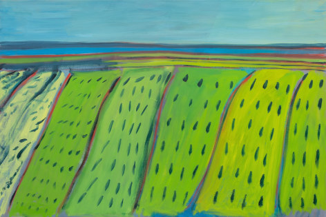 High horizon line with blue sky and green fields