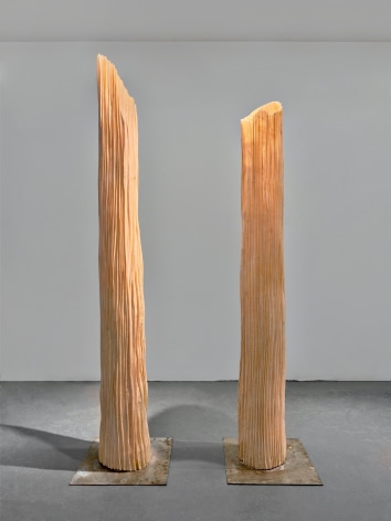 (Left) Column I, 2019, Polyester resin, flannel and steel