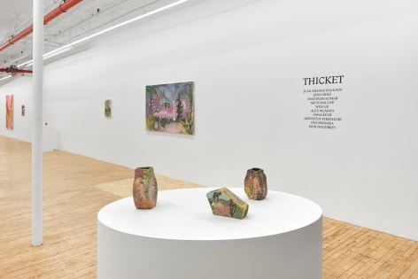 Installation view