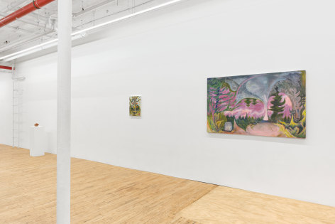 Installation view