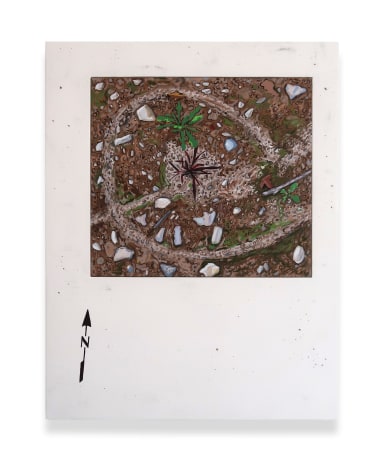 Josephine Halvorson  Ground Register: Spiral, 2019  Gouache and site material on panel  106.7 x 81.3 cm / 42 x 32 in