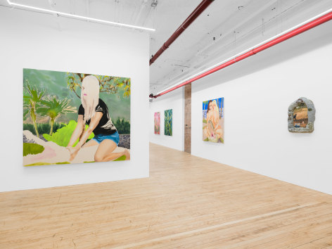 Paintings installed on the wall. The painting on the left wall shows a female figure sitting on top of an alligator while holding and pressing on the neck of the alligator with both of her hands in a green natural environment. Three paintings and one wall sculpture are shown on the right wall, from right to left: a wall sculpture with stone-like material surrounding a photograph collage in the center; a painting showing one brown-haired female figure sitting behind a blonde female figure together on top of an alligator; and one green and one pink-toned floral and vegetable pattern painting.