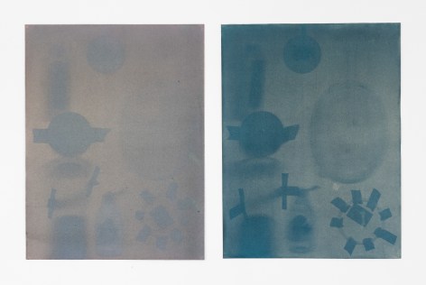 Erin Woodbrey Five Containers and Three Lids (In Two Parts), 2021, Shadowgram Anthotype, cabbage and beetroot on paper, 60.9 x 91.4 cm / 24 x 36 in