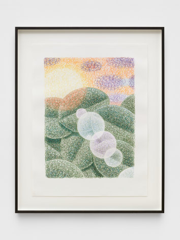 Laurens Legiers  Untitled (green leaves with a sun glare), 2022  Pencil on paper  62 x 47 cm | 24 1/2 x 18 1/2 in  Framed: 75. 3 x 60.3 cm | 29 3/4 x 23 3/4 in