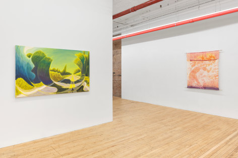 Installation view