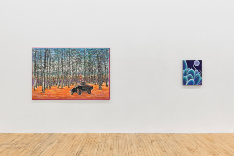 Installation view