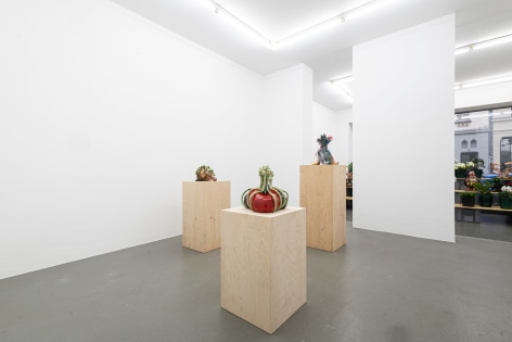 Installation view