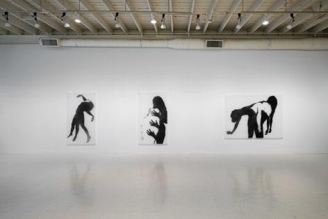 Samantha Wall - Beyond Bloodlines - Russo Lee Gallery - Installation View 09