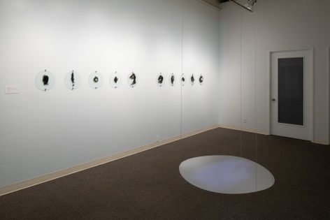Lisa Jarrett | Imagining Home | Russo Lee Gallery | Installation View 02