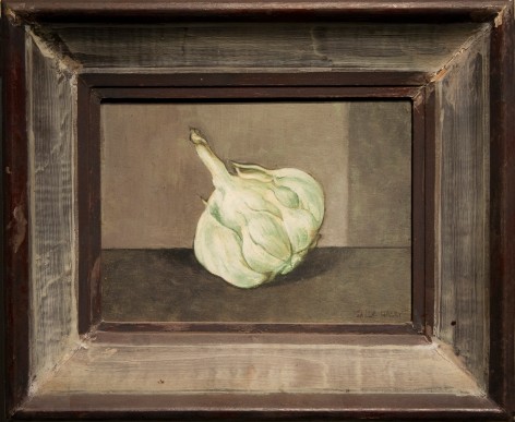 Untitled (Bulb of Garlic)