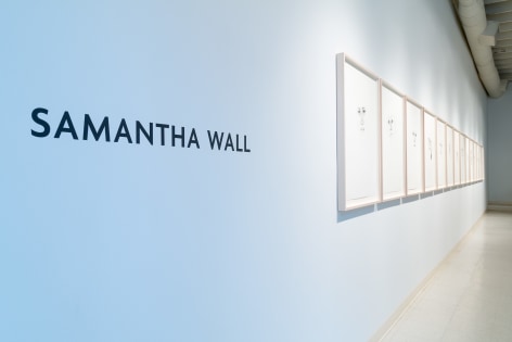 Samantha Wall | See Me See You | Installation view 2016