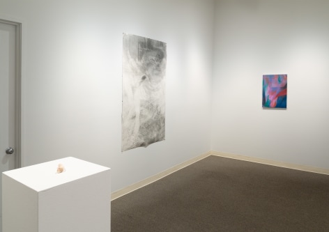 Drinking the Reflection-curated by Elizabeth Malaska-Russo Lee Gallery-Portland-november 2019-Installation view 03