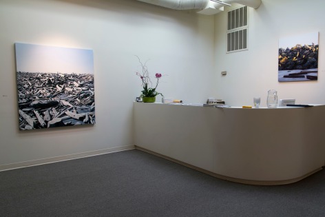 Michael Brophy at Laura Russo Gallery September 2014