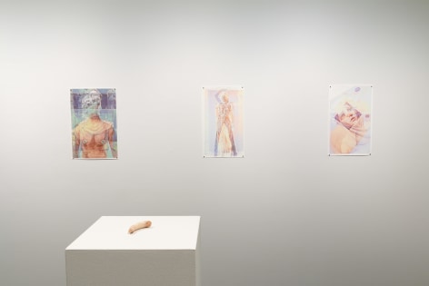 Drinking the Reflection-curated by Elizabeth Malaska-Russo Lee Gallery-Portland-november 2019-Installation view 04