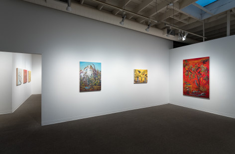 Kim Osgood | Going Into the Forest | Russo Lee Gallery | May 2021 | Installation view 02