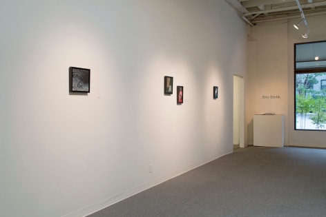 Eric Stotik Installation at Laura Russo Gallery October 2015
