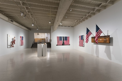 Julian V.L. Gaines - Under the Flag - Russo Lee Gallery - Installation View 03