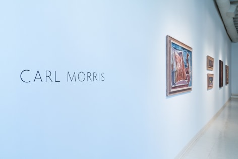 Carl Morris | Decades installation | January 2017