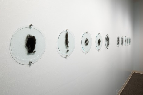 Lisa Jarrett | Imagining Home | Russo Lee Gallery | Installation View 05