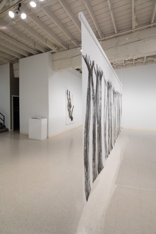 Samantha Wall | Phantom Limbs | Russo Lee Gallery | Installation View_07