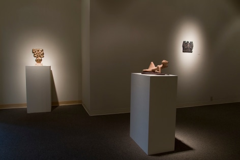 Manuel Izquierdo installation at Laura Russo Gallery March 2015