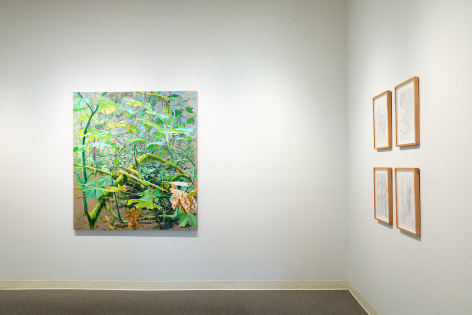 Chris Russell - Ramble - May 2019 - Installation view 013