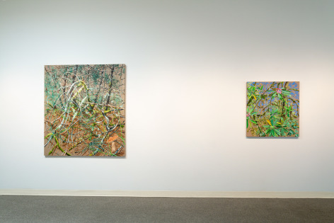 Chris Russell - Ramble - May 2019 - Installation view 09