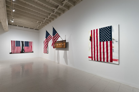Julian V.L. Gaines - Under the Flag - Russo Lee Gallery - Installation View 06