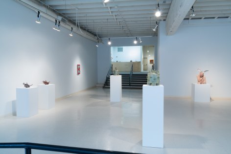 Northwest Perspectives in Clay | Installation View | March 2017
