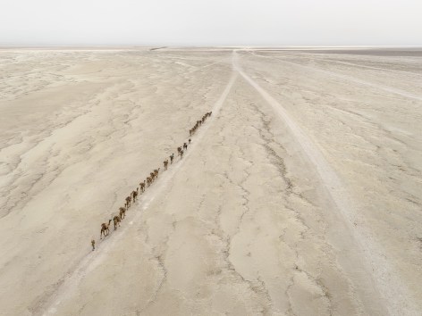 Camel Caravan #1, Danakil Depression, Ethiopia, 2018  Chromogenic Colour print  39 x 52 inches
