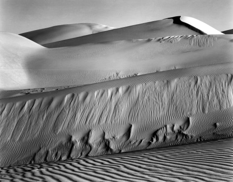 Edward Weston - Oceano, 1936 - Howard Greenberg Gallery