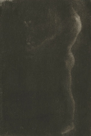 Edward Steichen - The Victor, 1900 - Howard Greenberg Gallery - 2019